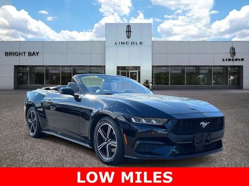 Used 2024 Ford Mustang Premium image 1