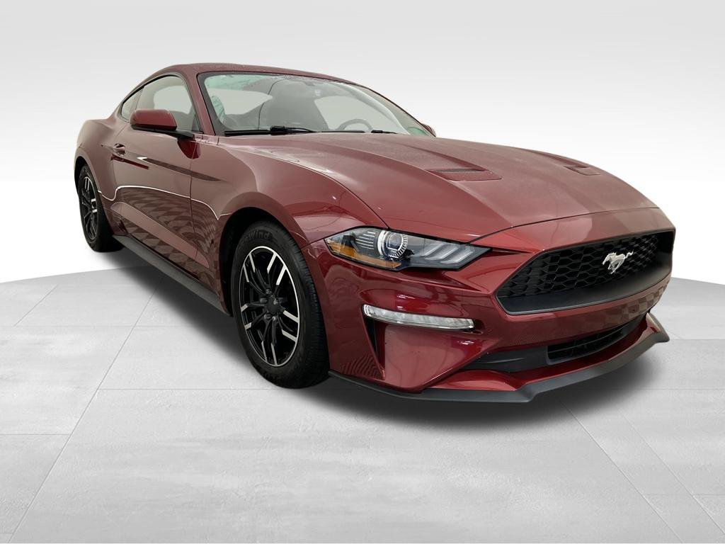 Used 2019 Ford Mustang Coupe RWD image 8