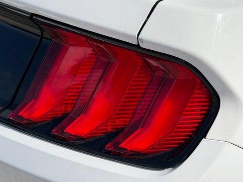Used 2019 Ford Mustang GT Premium w/ Equipment Group 401A RWD image 11