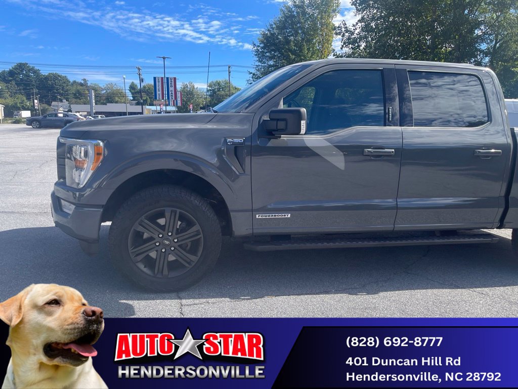 Used 2021 Ford F150 XLT w/ Equipment Group 302A High AWD/4WD image 5