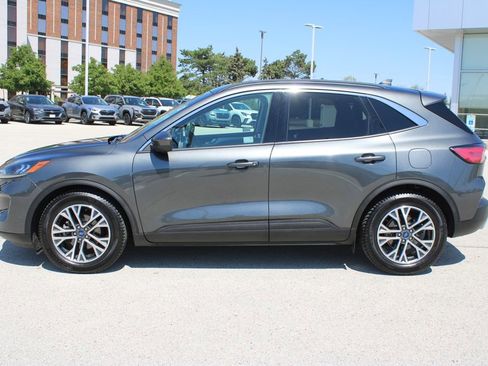 Used 2020 Ford Escape SEL FWD image 8