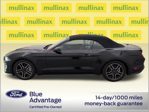 Used 2023 Ford Mustang Premium image 12