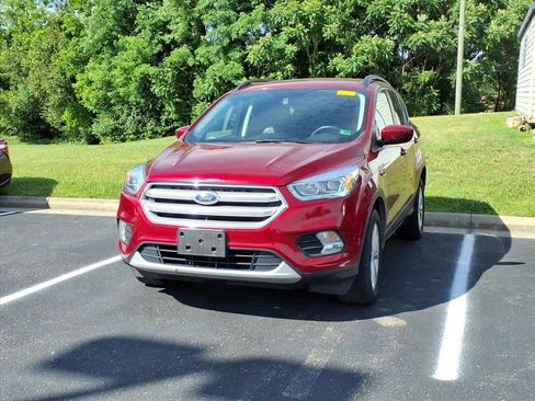 Used 2019 Ford Escape SEL AWD/4WD image 4
