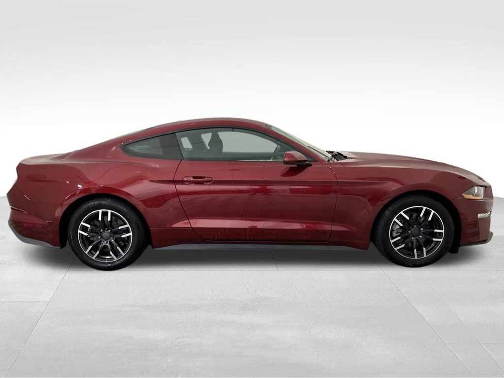 Used 2019 Ford Mustang Coupe RWD image 7