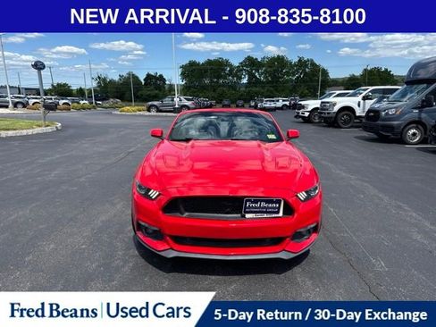 Used 2016 Ford Mustang GT Premium w/ Equipment Group 401A RWD image 2