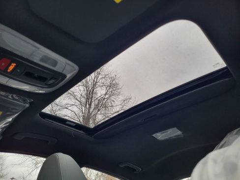 New 2025 Hyundai Elantra Limited image 33