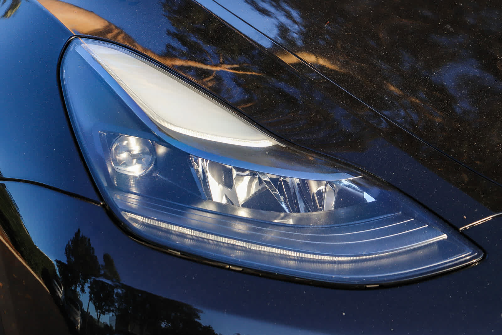 Used 2024 Tesla Model Y Long Range AWD/4WD image 4