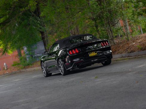 Used 2019 Ford Mustang Premium w/ Equipment Group 201A RWD image 50