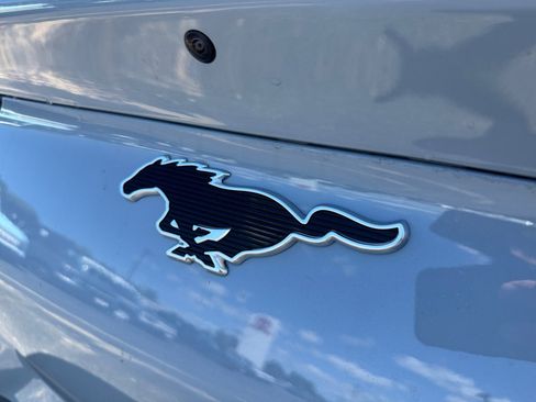 New 2025 Ford Mustang Mach-E Select w/ Comfort Package Lite image 19