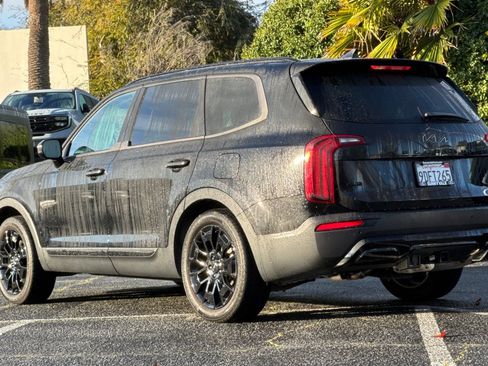 Used 2022 Kia Telluride SX w/ SX Prestige Package image 6