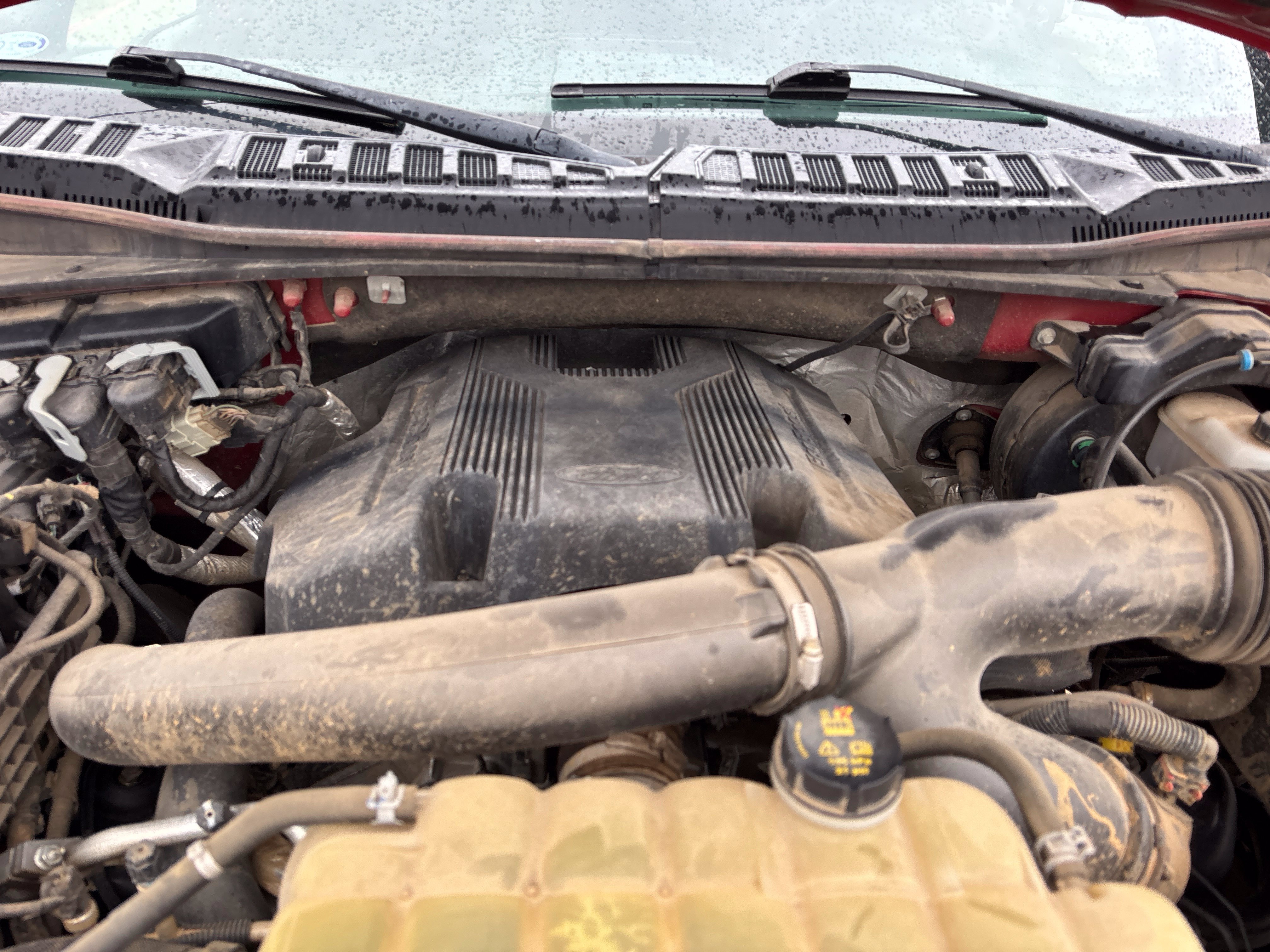 Used 2020 Ford F150 XLT w/ Equipment Group 302A Luxury AWD/4WD image 18
