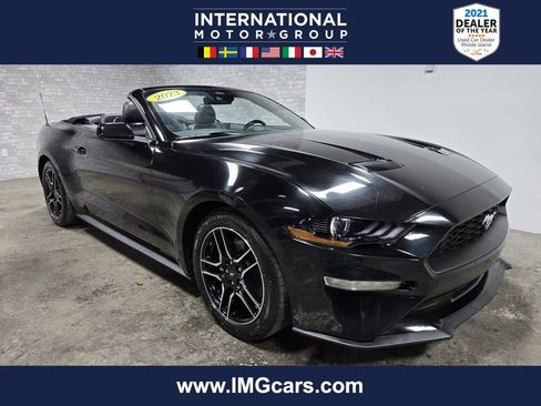 Used 2023 Ford Mustang Premium image 1