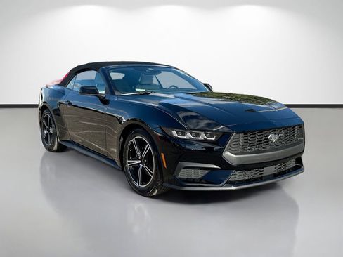 Used 2024 Ford Mustang Premium image 1