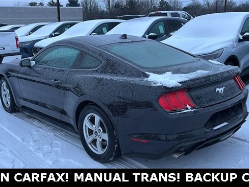 Used 2023 Ford Mustang Coupe image 4