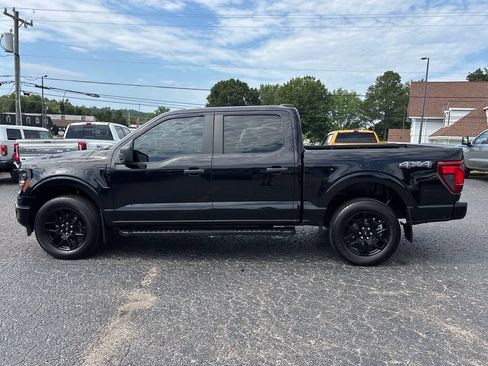 Used 2024 Ford F150 STX w/ STX Black Appearance Package AWD/4WD image 5