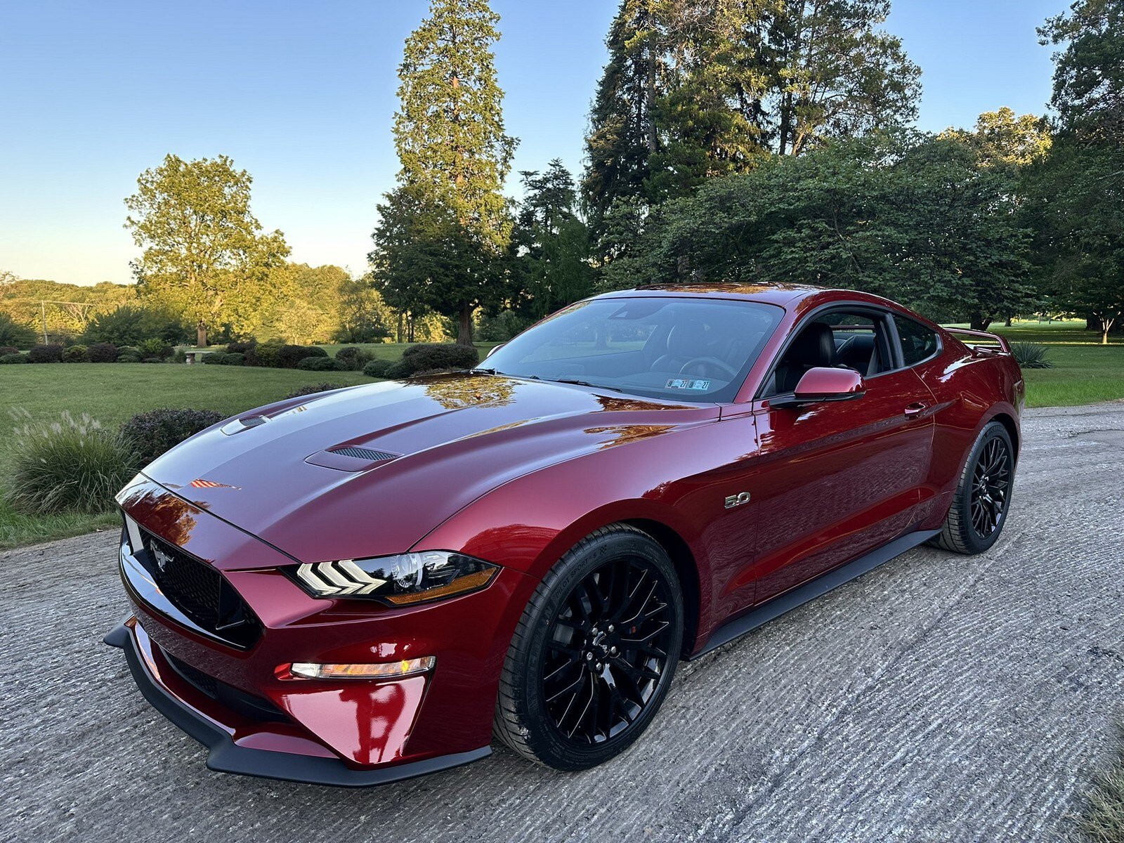 Used 2019 Ford Mustang GT Premium w/ GT Performance Package RWD image 4