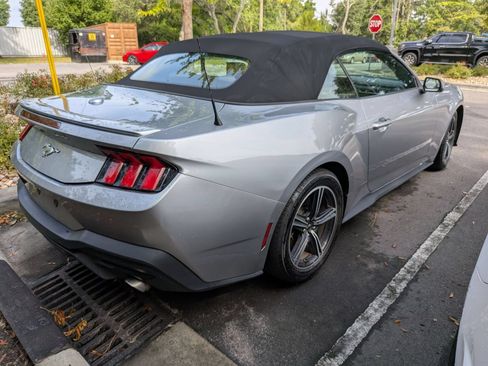 Used 2024 Ford Mustang Premium RWD image 2