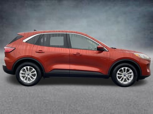 Used 2020 Ford Escape SE image 4