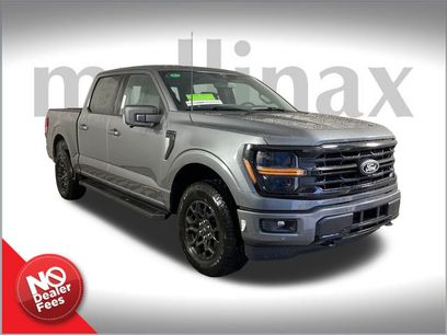 New 2025 Ford F150 XLT w/ Equipment Group 302A MID