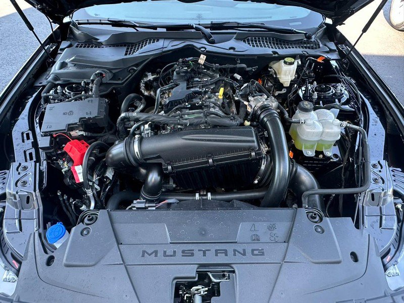 Used 2025 Ford Mustang Premium RWD image 13