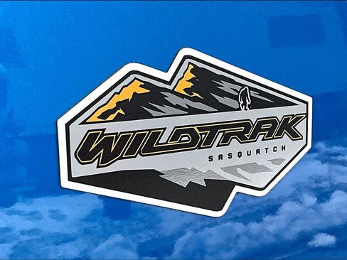 Used 2024 Ford Bronco Wildtrak image 9