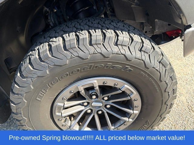 Used 2019 Ford F150 Raptor w/ Equipment Group 802A Luxury AWD/4WD image 11