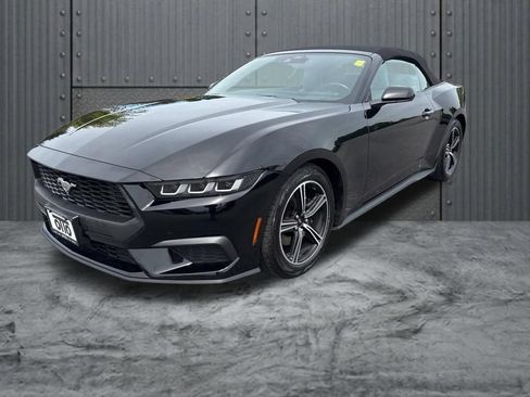 Used 2024 Ford Mustang Premium RWD image 3