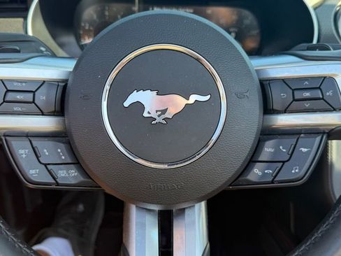 Used 2019 Ford Mustang GT Premium w/ Equipment Group 401A image 18