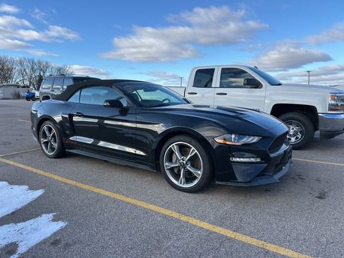 Used 2022 Ford Mustang GT Premium w/ California Special Package image 5