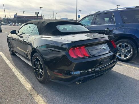 Used 2023 Ford Mustang Premium image 7