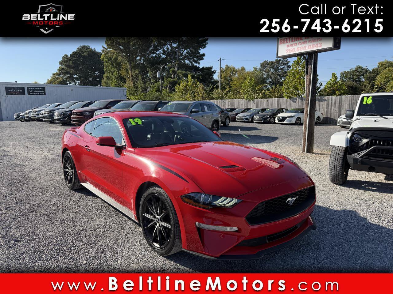 Used 2019 Ford Mustang Premium w/ Equipment Group 201A RWD image 1