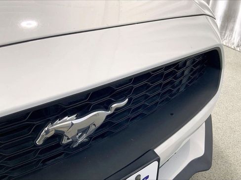 Used 2020 Ford Mustang Premium image 7