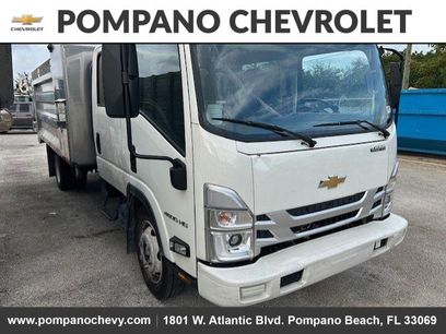 Used 2025 Chevrolet Low Cab Forward