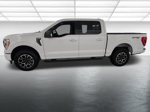 Used 2023 Ford F150 XLT w/ Equipment Group 302A High AWD/4WD image 4