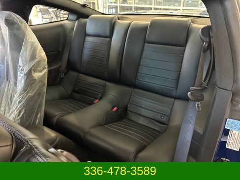 Used 2008 Ford Mustang Shelby GT500 RWD image 21