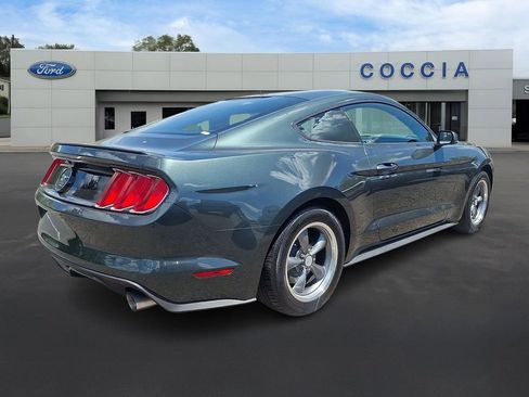 Used 2015 Ford Mustang Premium w/ 50 Years Appearance Package RWD image 4