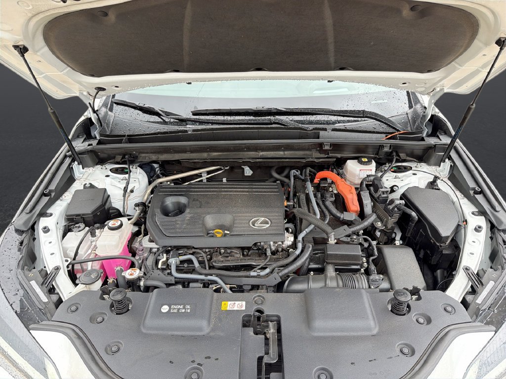 Certified 2024 Lexus NX 350h AWD image 14