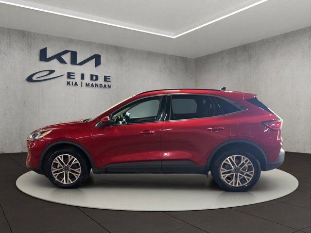 Used 2020 Ford Escape SEL AWD/4WD image 11