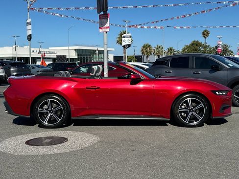 Used 2024 Ford Mustang Premium RWD image 3