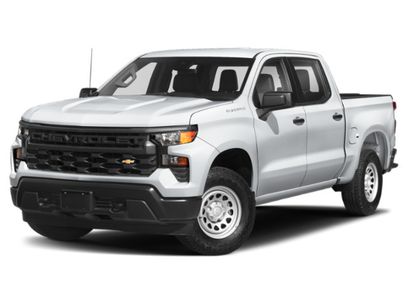 Used 2024 Chevrolet Silverado 1500 LT Trail Boss w/ Protection Package