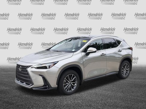 Used 2025 Lexus NX 350h AWD w/ Cold Area Package image 5