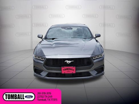 Used 2024 Ford Mustang Coupe RWD image 2