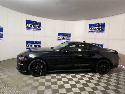 Used 2023 Ford Mustang GT w/ Equipment Group 301A image 7