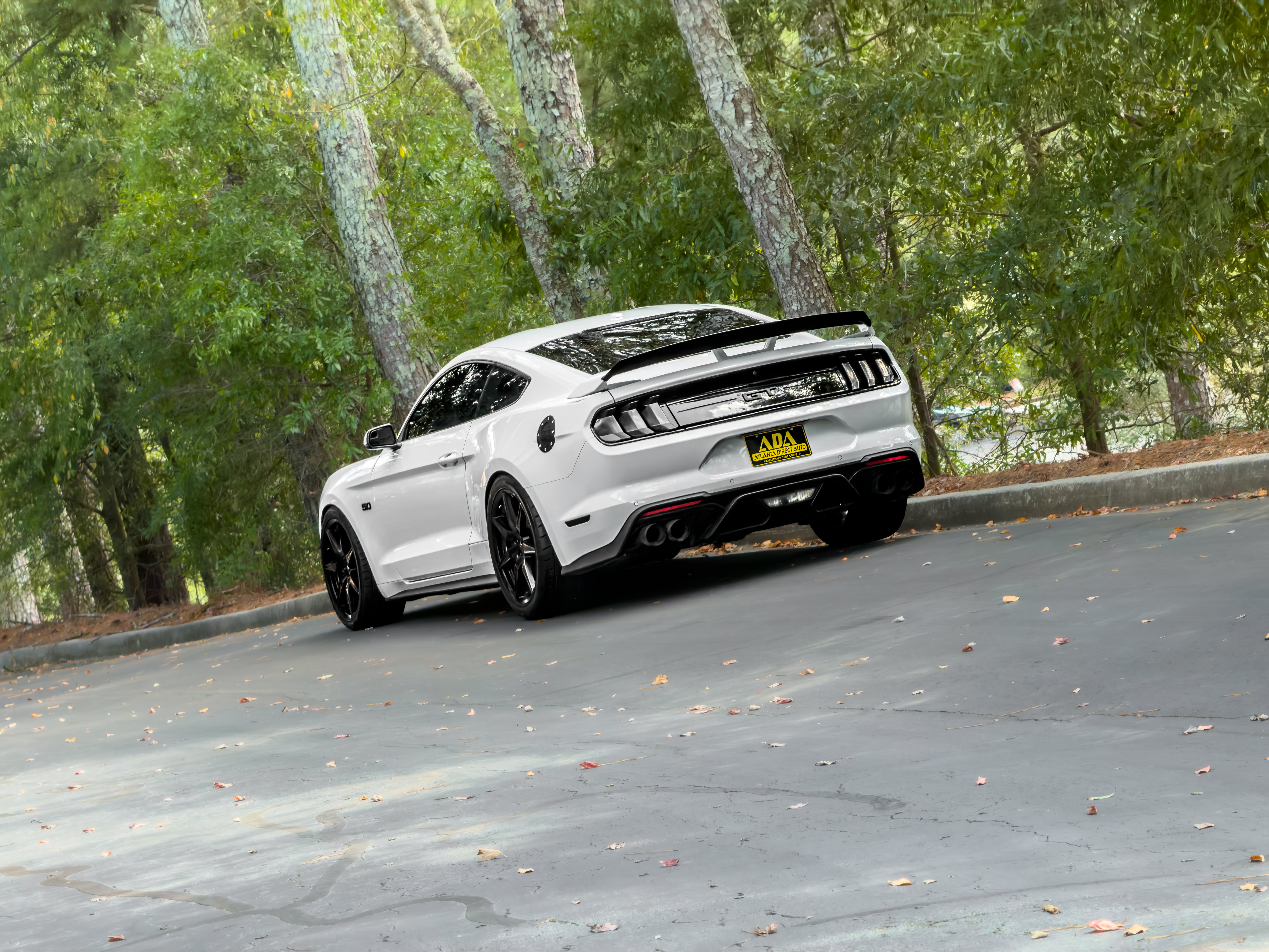 Used 2019 Ford Mustang GT Premium w/ GT Performance Package RWD image 45
