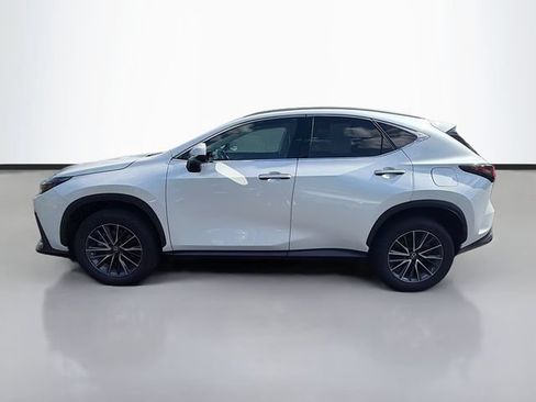 Used 2025 Lexus NX 350h AWD w/ Cold Area Package image 4