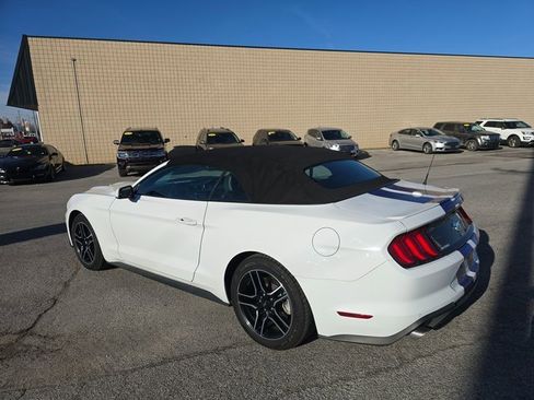 Used 2023 Ford Mustang Premium image 7