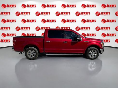 Used 2019 Ford F150 XLT w/ Equipment Group 302A Luxury image 4
