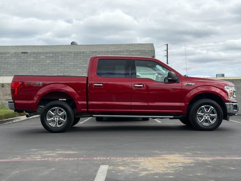Used 2019 Ford F150 XLT w/ Equipment Group 302A Luxury AWD/4WD image 6