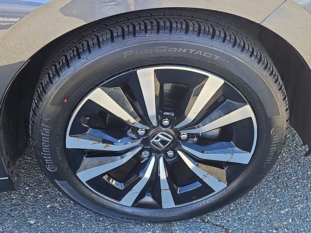 Certified 2024 Honda Civic EX-L image 10