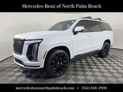 Used 2026 Cadillac Escalade Platinum Sport w/ LPO, ONYX Package
